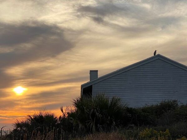 Bird on the roof of a St. George Island Home at sunset