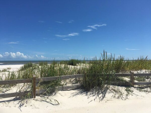 Fence along st george island overlooking the gulf